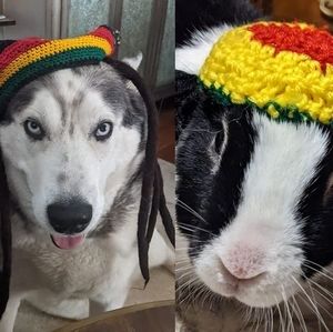 Meet your Posher, Jay